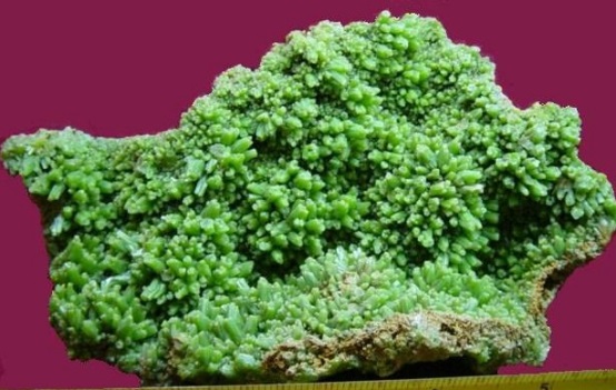 長(zhǎng)沙市譚力礦產(chǎn)品有限公司,長(zhǎng)沙礦產(chǎn)品銷售,工藝品銷售,鉆石飾品批發(fā)